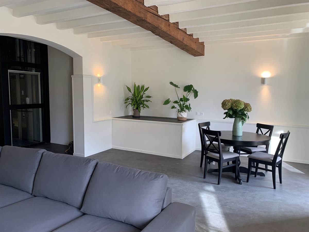 Salon lumineux avec un canapé d’angle, une poutre apparente et des plantes.